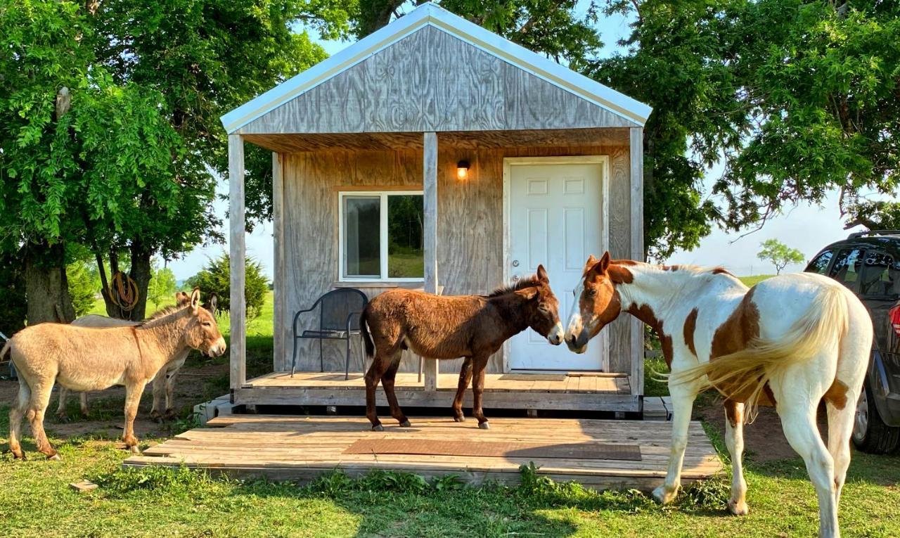 Tiny Cabin At The Donkeyranch Medicine Park Exterior photo